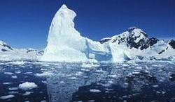 南极最新爆料视频网站,最新爆料视频网站带你领略极地奇观