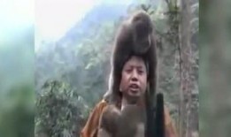 爆料时间猴子视频播放,猴子视频播放背后的爆款秘密，揭秘时间点大揭秘！